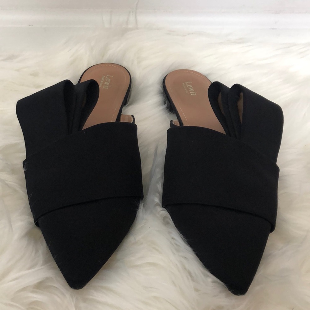 Black Lewit Pointed-toe Mule